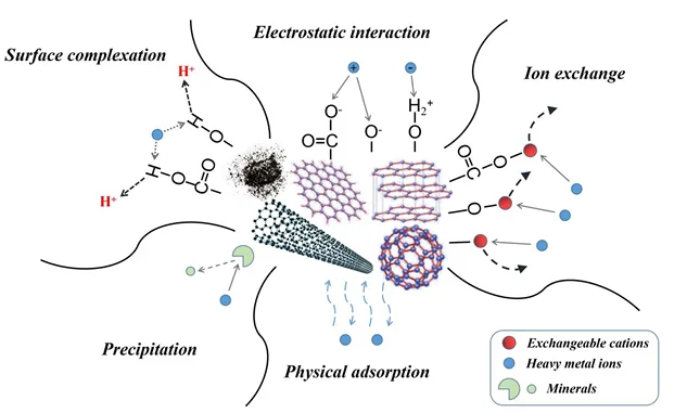 什么是“吸附”? 6 图5. 重金属在碳基官能团吸附剂上的吸附机制示意图